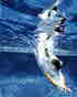 Swimming Pool Chemical Dosing Equipment Swimming Pool Chemical Dosing Equipment